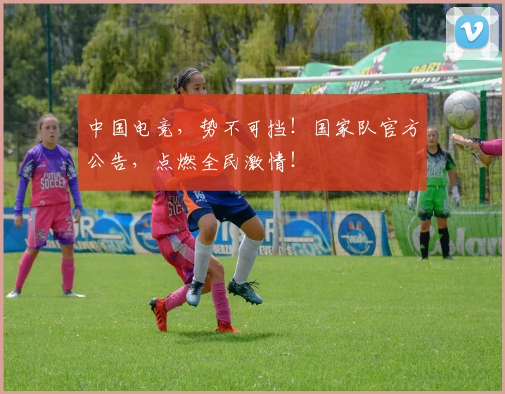 中国电竞,势不可挡!国家队官方公告,点燃全民激情!